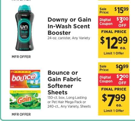 Downy or Gain In-Wash Scent Booster