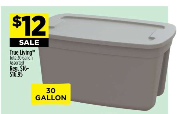 True Living™ Tote 30 Gallon Assorted