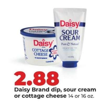 Daisy Brand dip, sour cream or cottage cheese