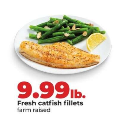 Fresh Catfish Fillets
