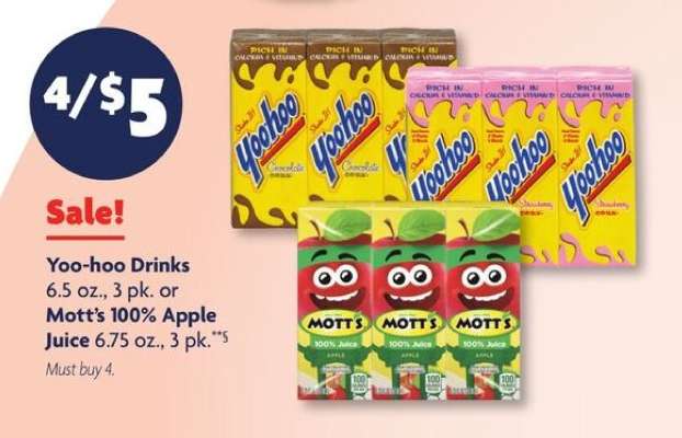 Yoo-hoo Drinks or Mott's 100% Apple Juice