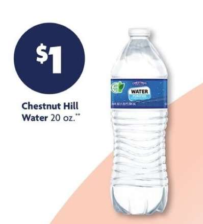 Chestnut Hill Water