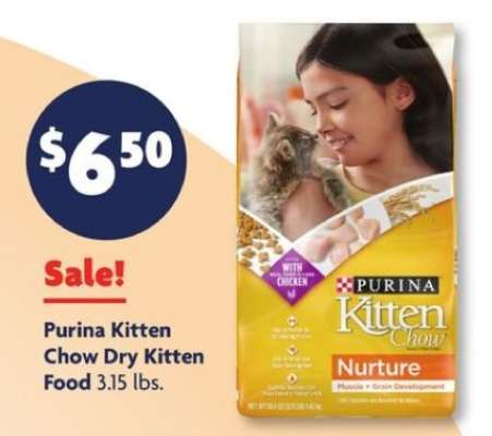 Purina Kitten Chow Dry Kitten Food