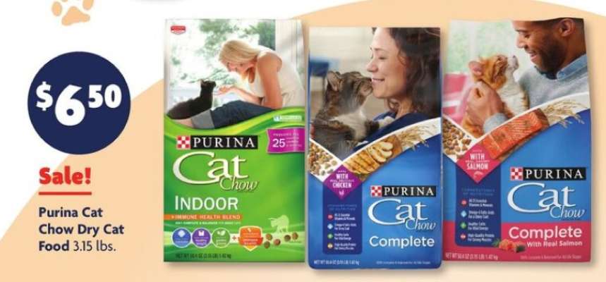 Purina Cat Chow Dry Cat Food