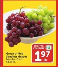 Green or Red Seedless Grapes