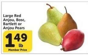 Large Red Anjou, Bosc, Bartlett or Anjou Pears