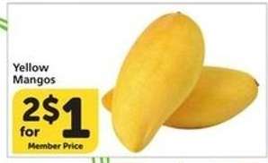 Yellow Mangos