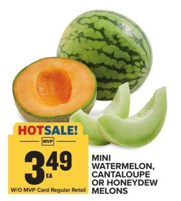 Mini Watermelon, Cantaloupe or Honeydew Melons