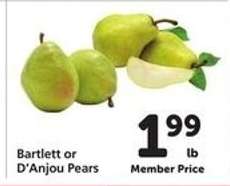 Bartlett or D'Anjou Pears