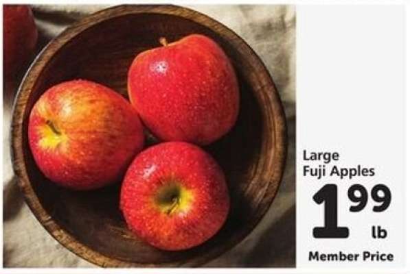 Large Fuji Apples