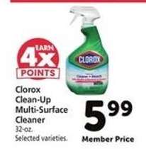 Clorox Clean-Up Multi-Surface Cleaner