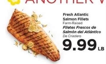 Fresh Atlantic Salmon Fillets