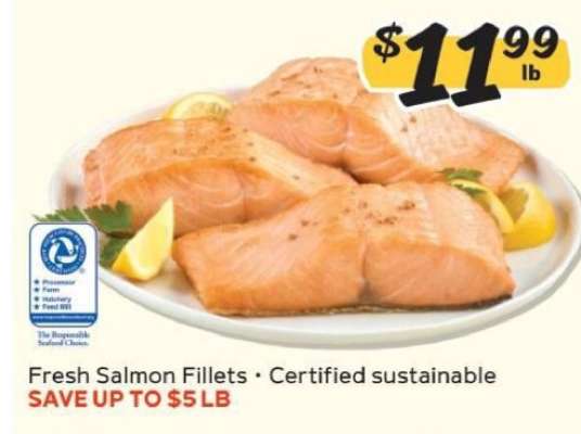 Fresh Salmon Fillets