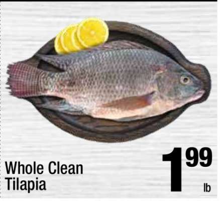 Whole Clean Tilapia
