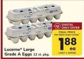 Lucerne Large Grade A Eggs