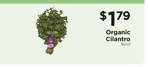 Organic Cilantro