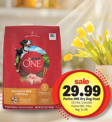 Purina ONE Dry Dog Food