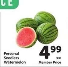 Personal Seedless Watermelon