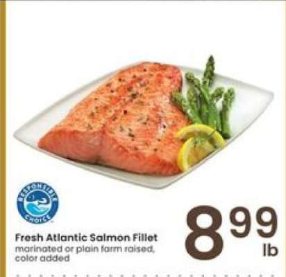 Fresh Atlantic Salmon Fillet