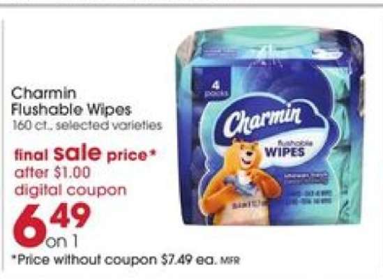 Charmin Flushable Wipes