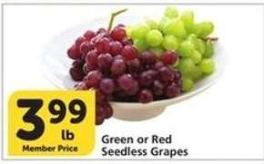 Green or Red Seedless Grapes