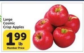 Large Cosmic Crisp Apples