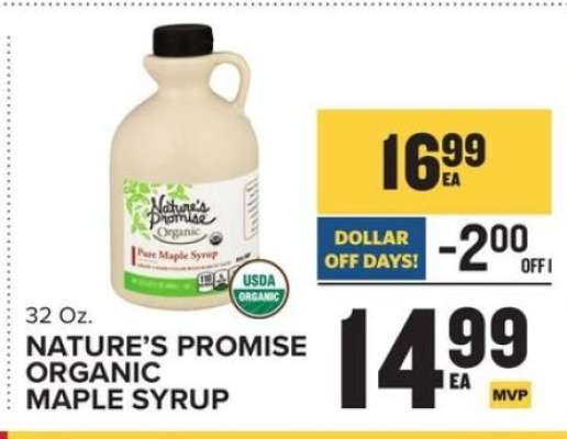 Nature's Promise Organic Maple Syrup