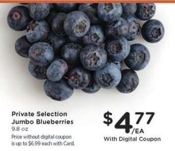 Private Selection Jumbo Blueberries