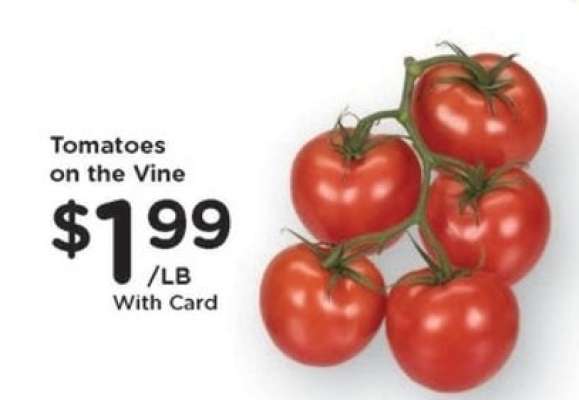 Tomatoes on the Vine