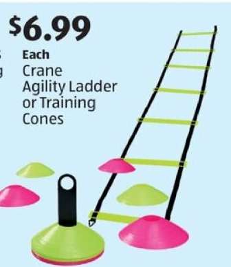 Crane Agility Ladder or Training Cones