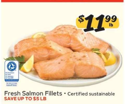 Fresh Salmon Fillets