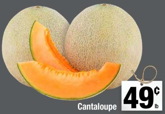 Cantaloupe