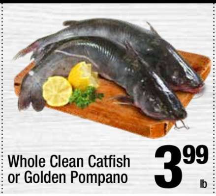 Whole Clean Catfish or Golden Pompano