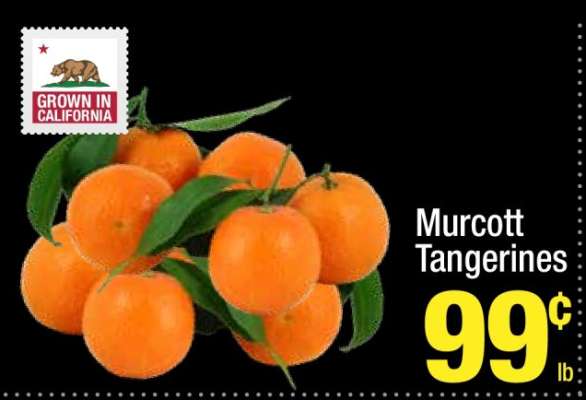Murcott Tangerines