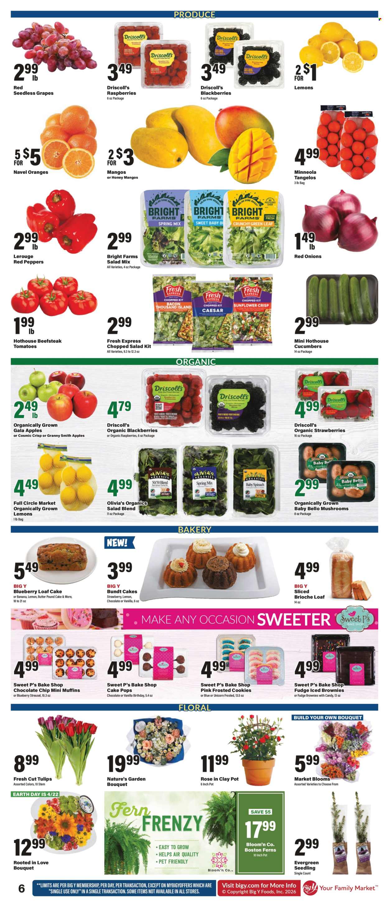 Big Y ad - 04/16/2026 - 04/22/2026. Page 9