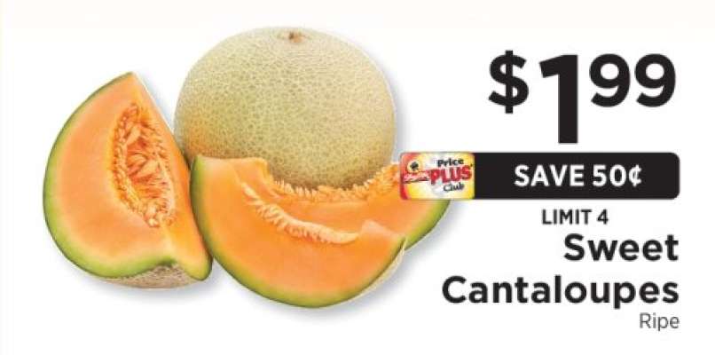 Sweet Cantaloupes