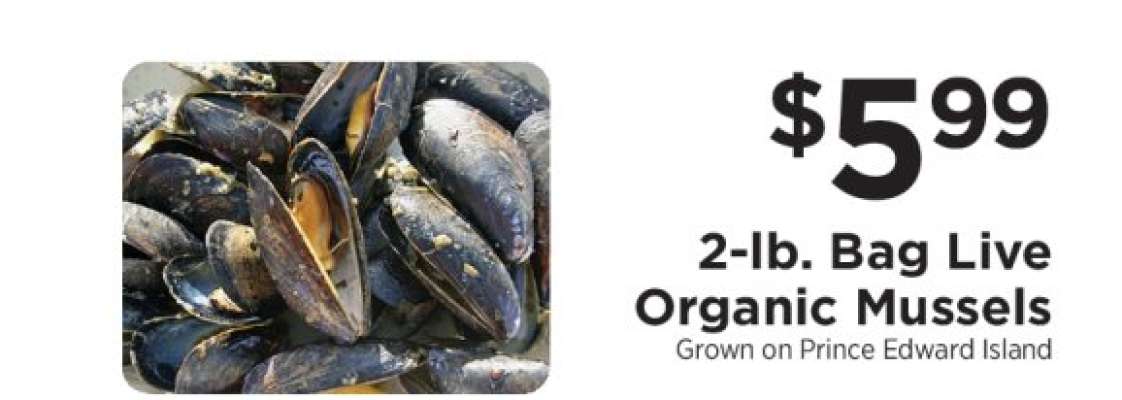 2-lb. Bag Live Organic Mussels