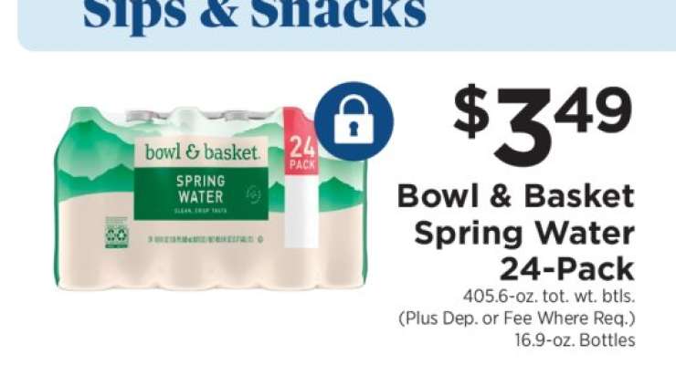 Bowl & Basket Spring Water 24-Pack