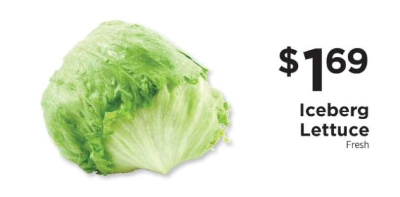 Iceberg Lettuce
