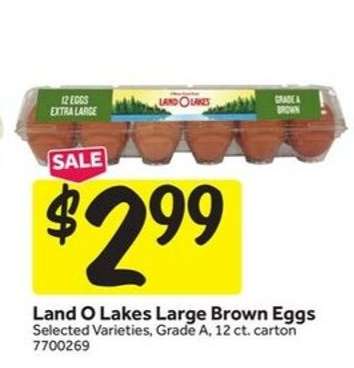 Land O Lakes Large Brown Eggs