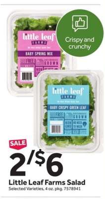 Little Leaf Farms Salad