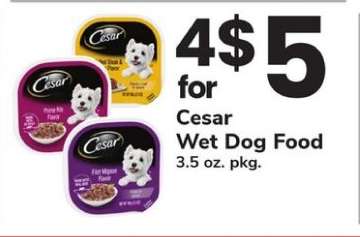 Cesar Wet Dog Food*