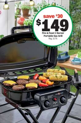 Fire & Feast 2 Burner Portable Gas Grill