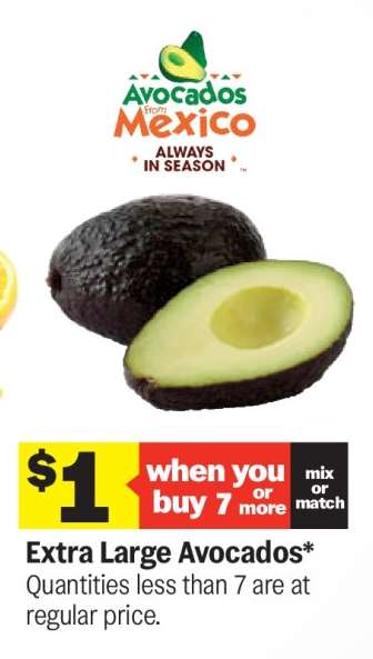 Extra Large Avocados