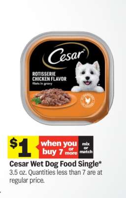 Cesar Wet Dog Food Single