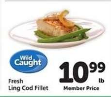 Fresh Ling Cod Fillet