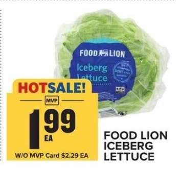 FOOD LION ICEBERG LETTUCE