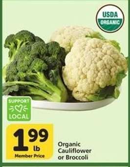 Organic Cauliflower or Broccoli