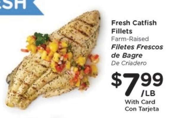 Fresh Catfish Fillets