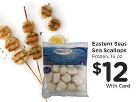 Eastern Seas Sea Scallops